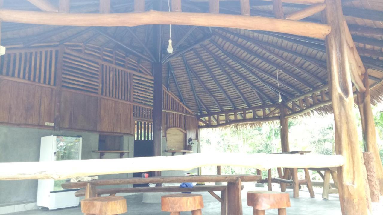 Orangutan Bungalow Bukit Lawang Esterno foto