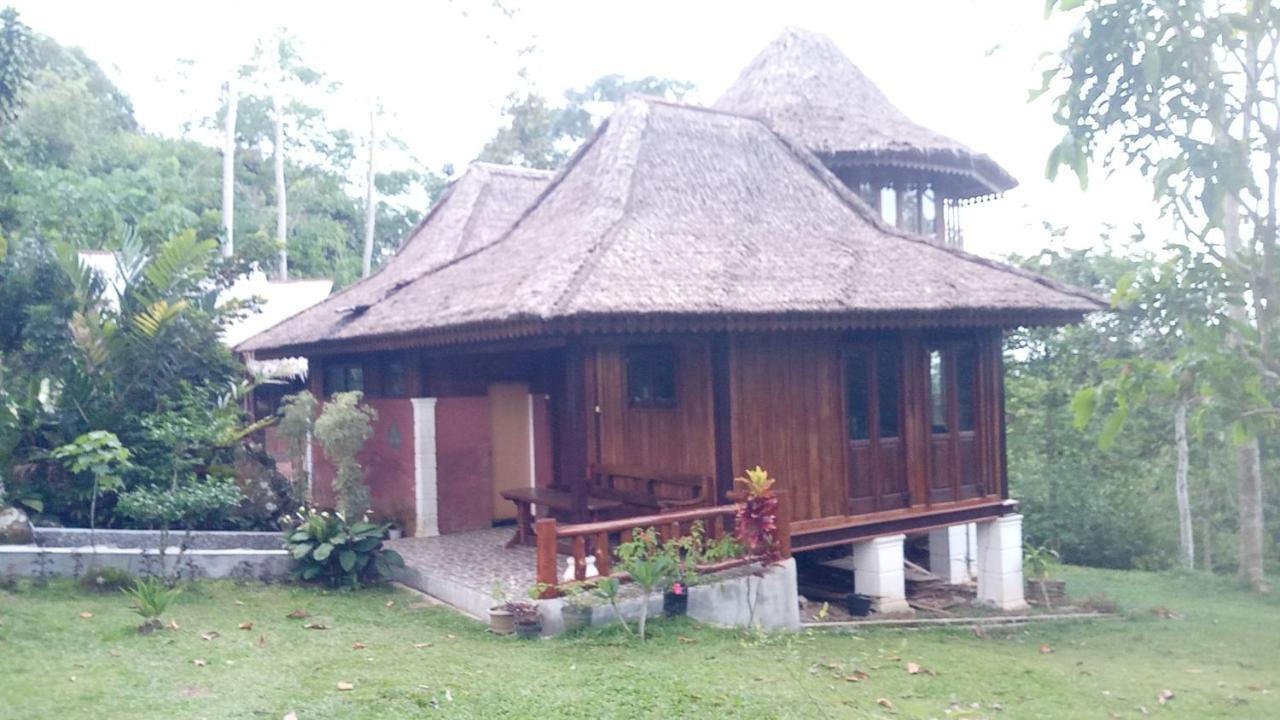 Orangutan Bungalow Bukit Lawang Esterno foto
