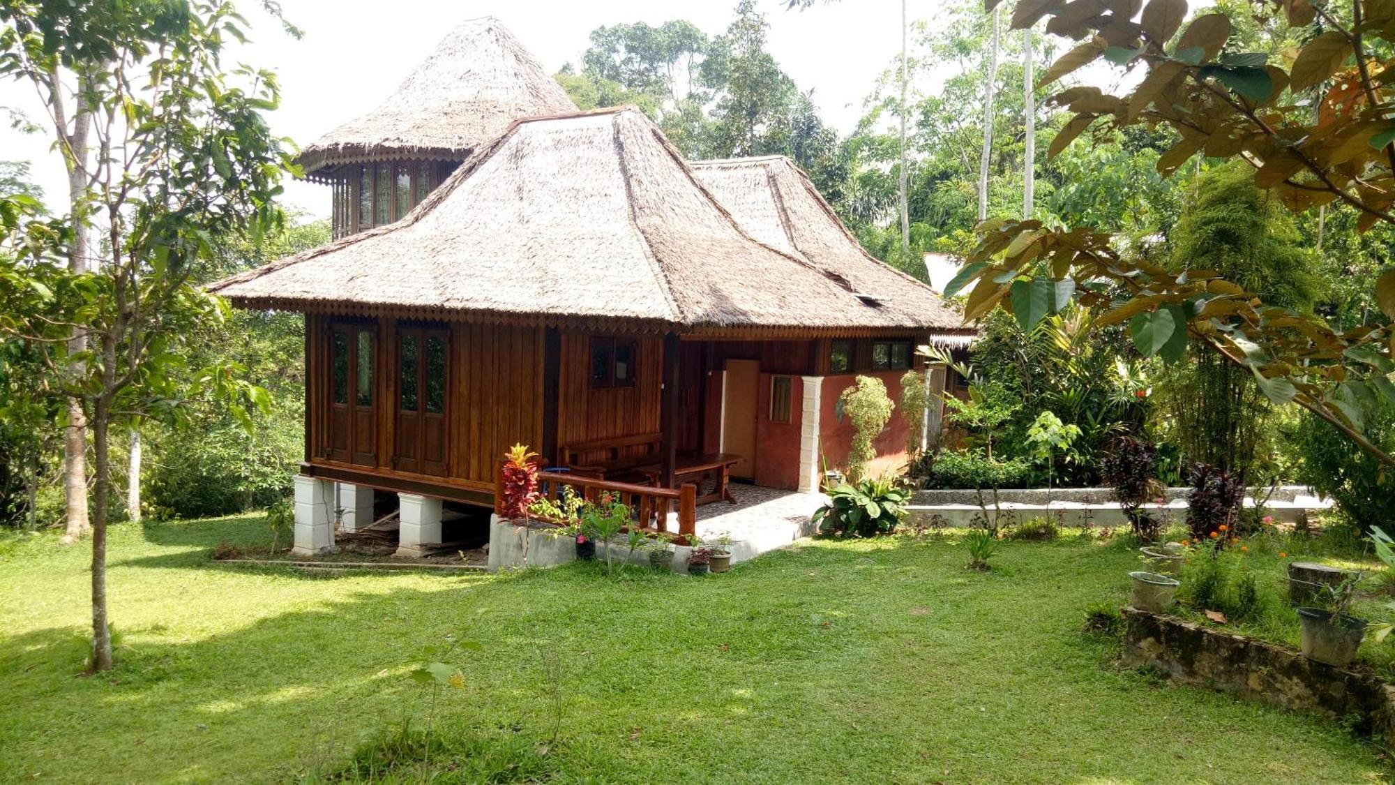 Orangutan Bungalow Bukit Lawang Esterno foto