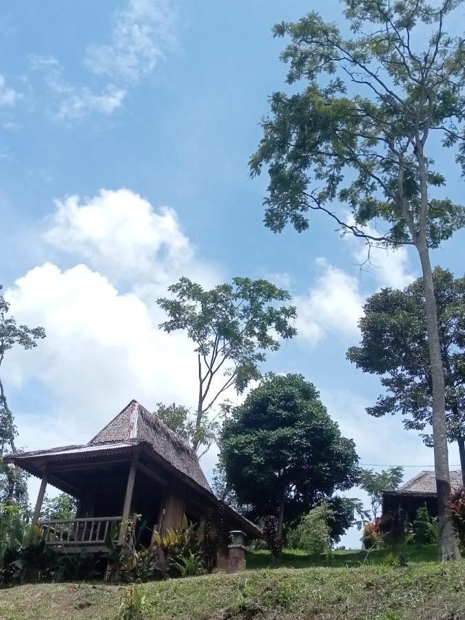 Orangutan Bungalow Bukit Lawang Camera foto