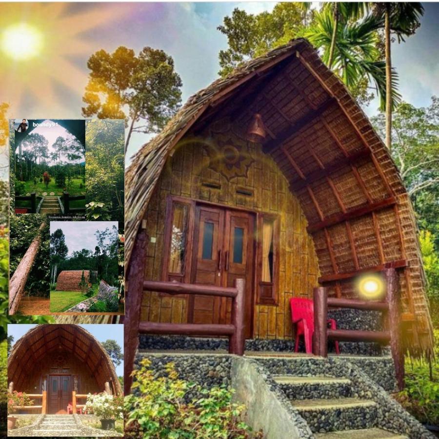 Orangutan Bungalow Bukit Lawang Esterno foto