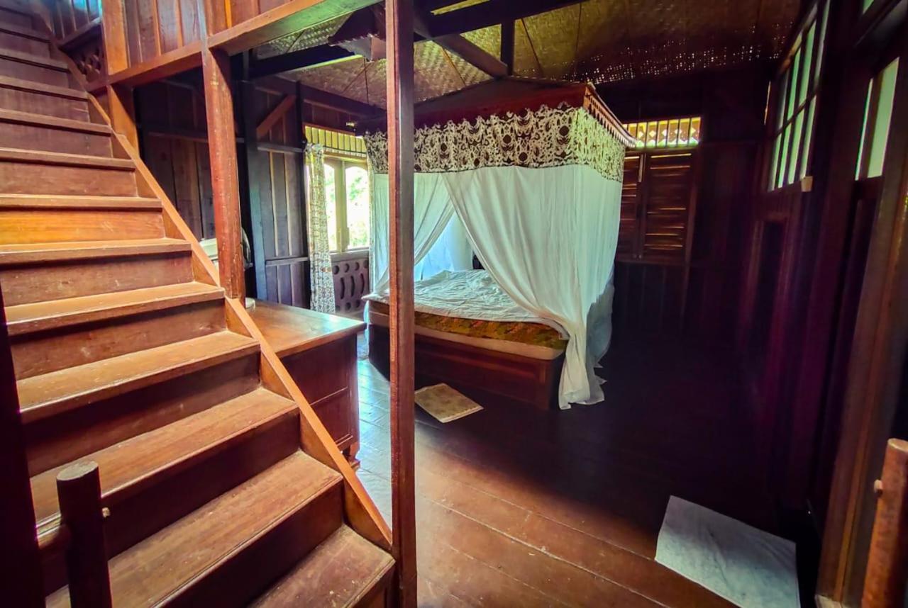 Orangutan Bungalow Bukit Lawang Esterno foto