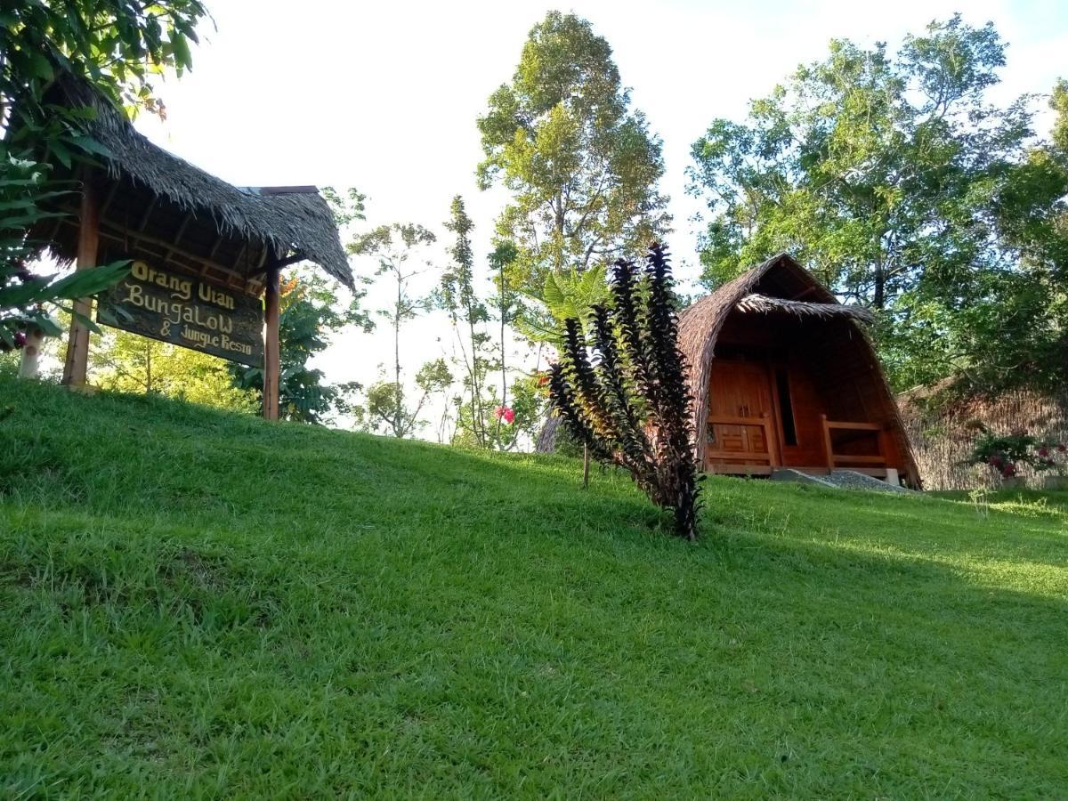 Orangutan Bungalow Bukit Lawang Esterno foto
