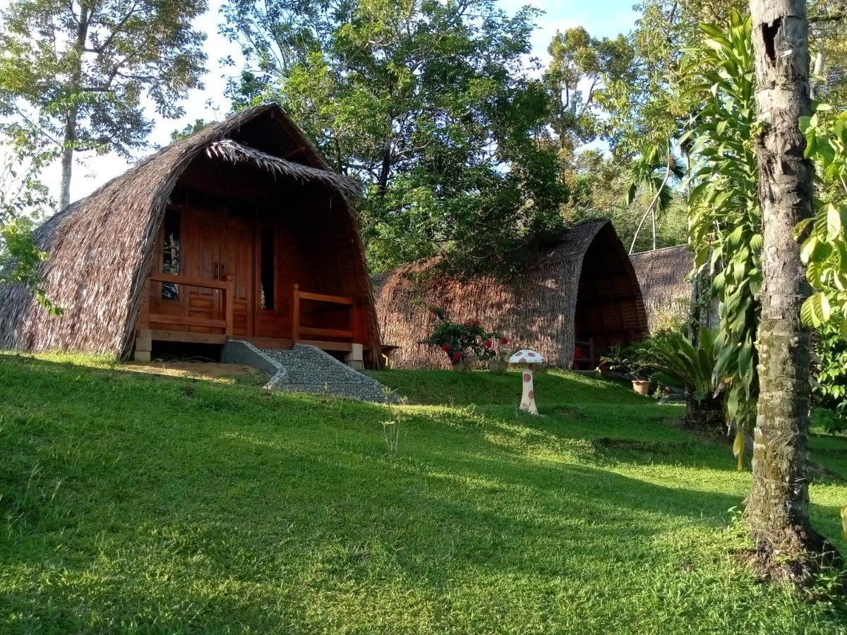 Orangutan Bungalow Bukit Lawang Camera foto