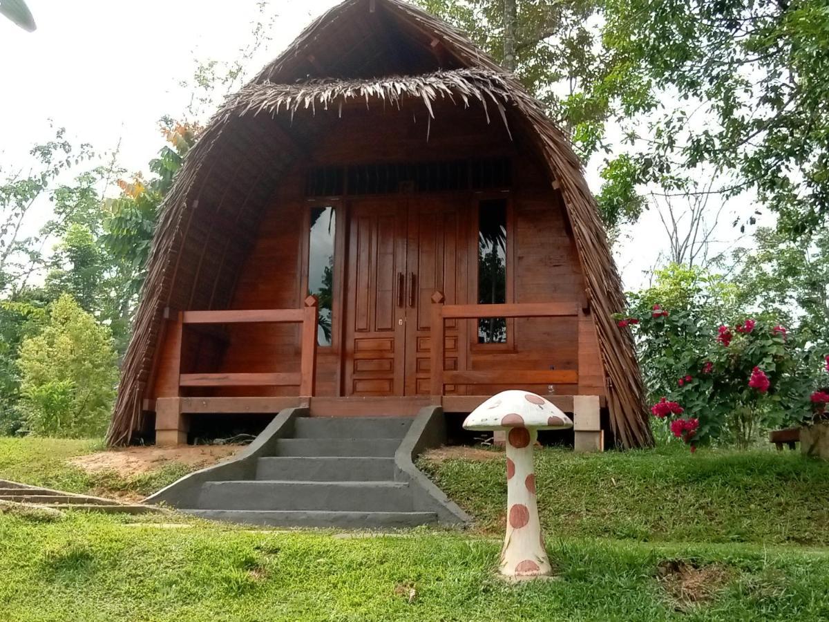 Orangutan Bungalow Bukit Lawang Esterno foto