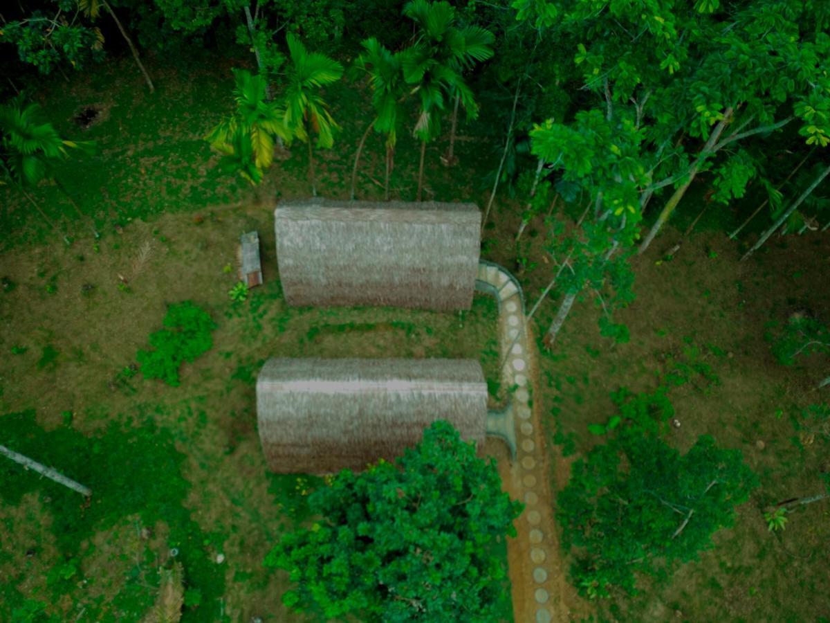 Orangutan Bungalow Bukit Lawang Esterno foto